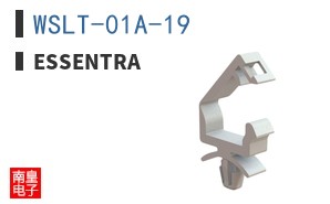 WSLT-01A-19