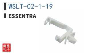 WSLT-02-1-19