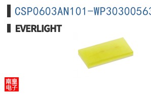 CSP0603AN101-WP30300563001-3T