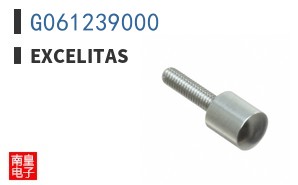 G061239000