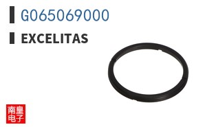 G065069000