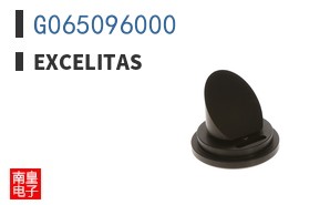G065096000