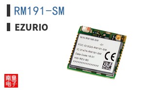 RM191-SM