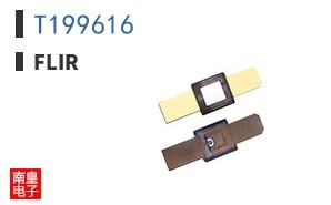 T199616