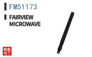 FM51173