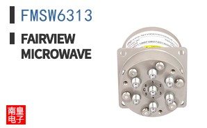 FMSW6313