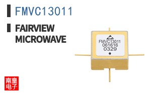 FMVC13011