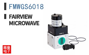 FMWGS6018