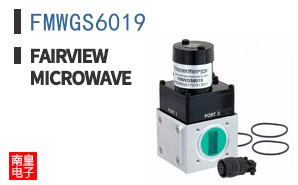 FMWGS6019