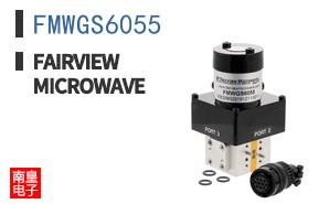 FMWGS6055
