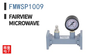 FMWSP1009
