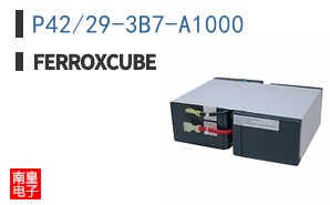 P42/29-3B7-A1000