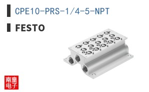 CPE10-PRS-1/4-5-NPT