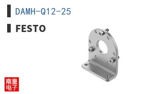 DAMH-Q12-25