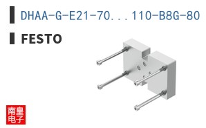 DHAA-G-E21-70...110-B8G-80