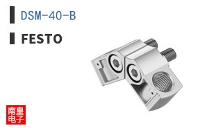 DSM-40-B