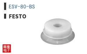 ESV-80-BS