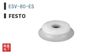 ESV-80-ES