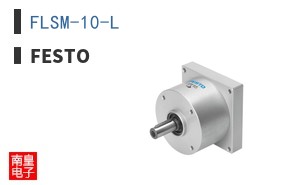 FLSM-10-L