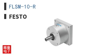 FLSM-10-R