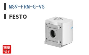 MS9-FRM-G-VS