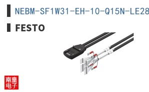 NEBM-SF1W31-EH-10-Q15N-LE28