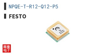 NPQE-T-R12-Q12-P5
