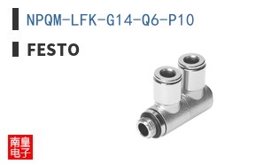 NPQM-LFK-G14-Q6-P10