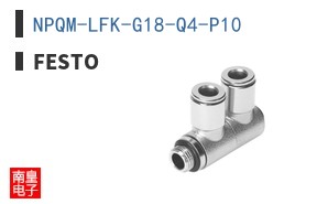 NPQM-LFK-G18-Q4-P10