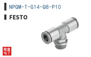 NPQM-T-G14-Q8-P10
