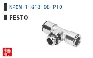NPQM-T-G18-Q8-P10