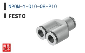 NPQM-Y-Q10-Q8-P10