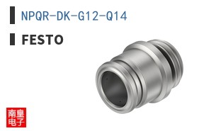 NPQR-DK-G12-Q14
