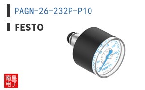 PAGN-26-232P-P10