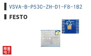 VSVA-B-P53C-ZH-D1-F8-1B2
