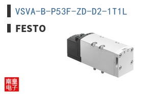 VSVA-B-P53F-ZD-D2-1T1L