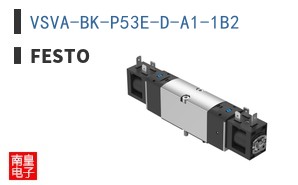 VSVA-BK-P53E-D-A1-1B2