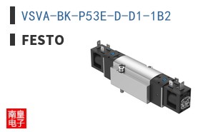 VSVA-BK-P53E-D-D1-1B2