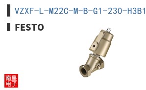 VZXF-L-M22C-M-B-G1-230-H3B1-50-10