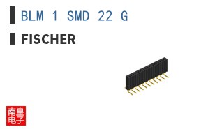 BLM 1 SMD 22 G