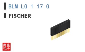BLM LG 1 17 G