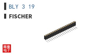 BLY 3 19