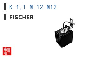 K 1,1 M 12 M12