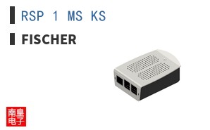RSP 1 MS KS