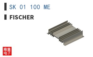 SK 01 100 ME