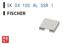 SK 04 100 AL SSR 1