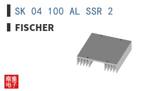 SK 04 100 AL SSR 2