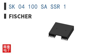 SK 04 100 SA SSR 1