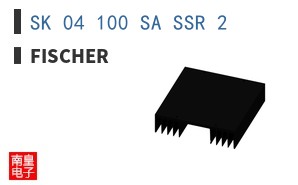 SK 04 100 SA SSR 2
