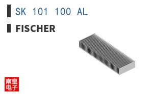 SK 101 100 AL